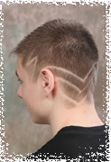 Hair
